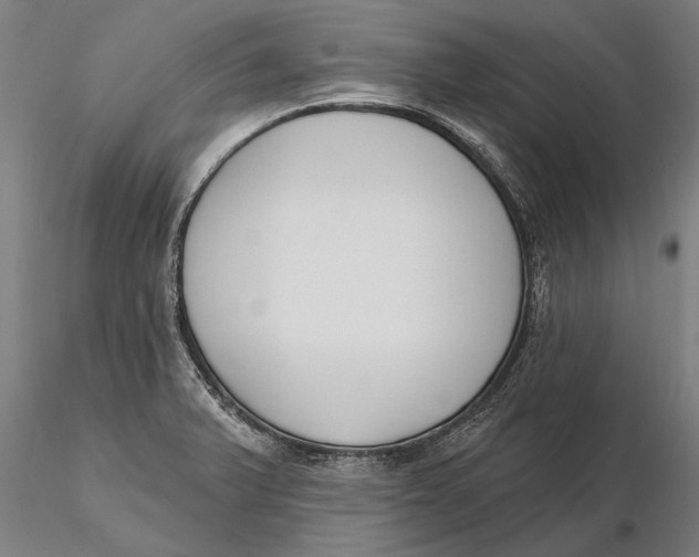 X0000116151375200912141147