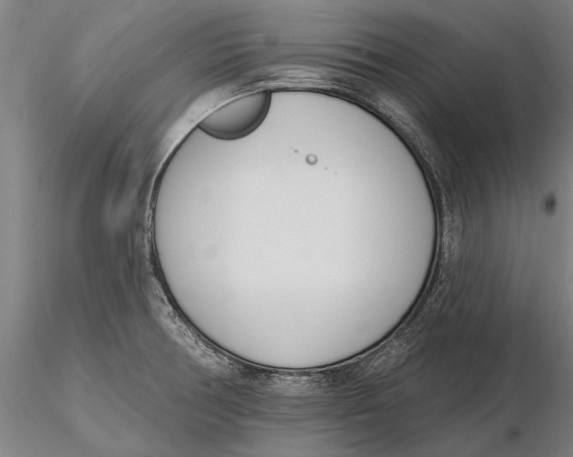 X0000116151378200912141147