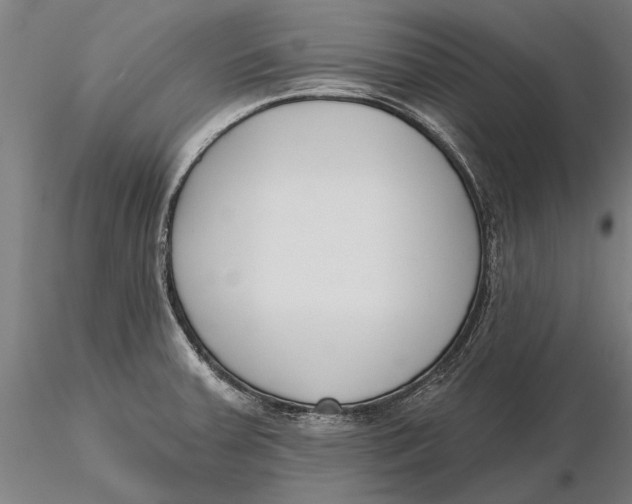 X0000116151379200912141147