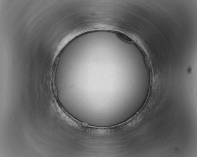 X0000116151381200912141147