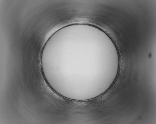 X0000116151382200912141147