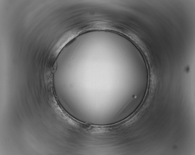 X0000116151385200912141147