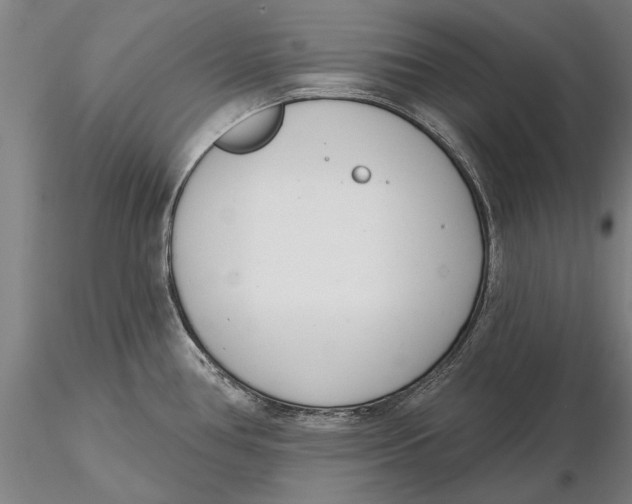 X0000116151386200912141147