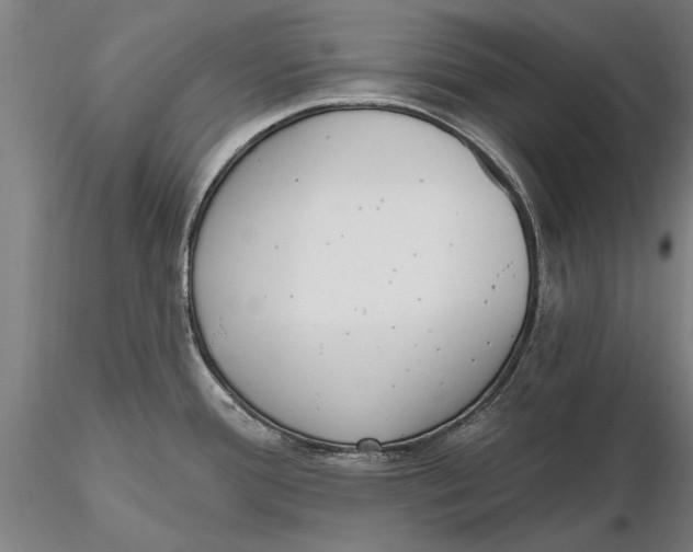 X0000116151388200912141147