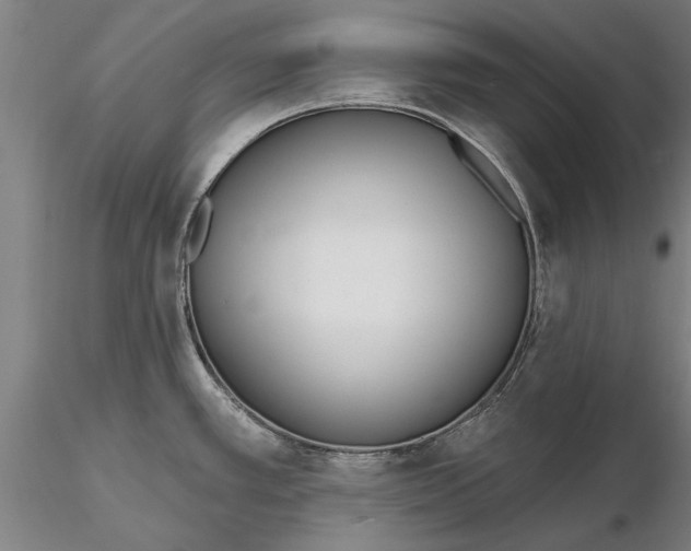 X0000116151389200912141147