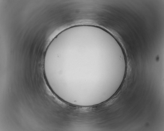 X0000116151390200912141147