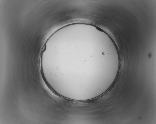 X0000116151391200912141147