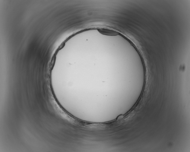 X0000116151392200912141147