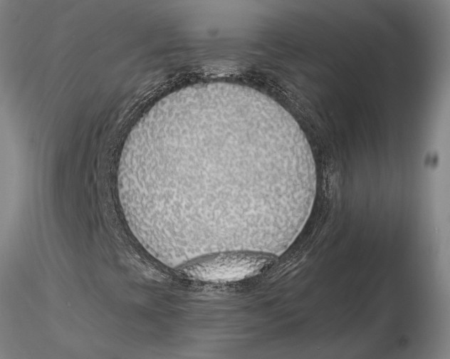 X0000116151393200912141146