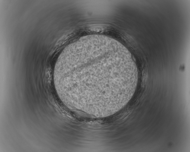 X0000116151394200912141146