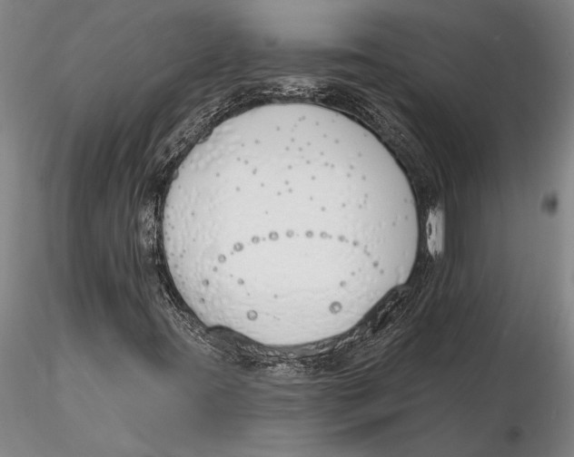 X0000116151395200912141146