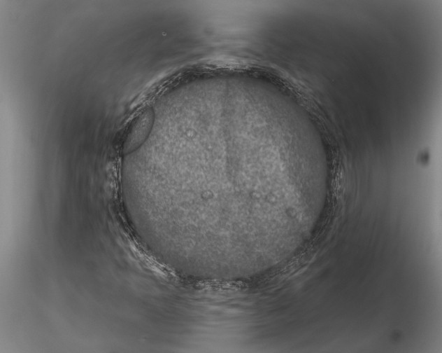 X0000116151397200912141146