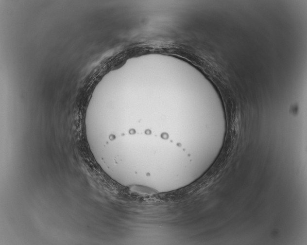 X0000116151398200912141146