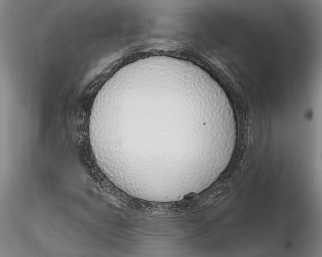 X0000116151399200912141146