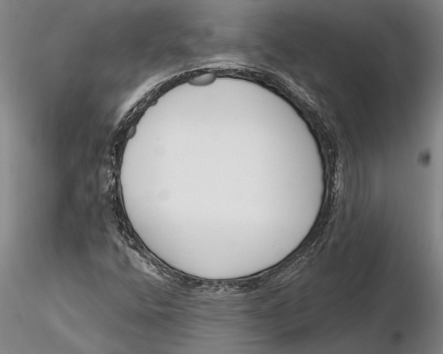 X0000116151400200912141146