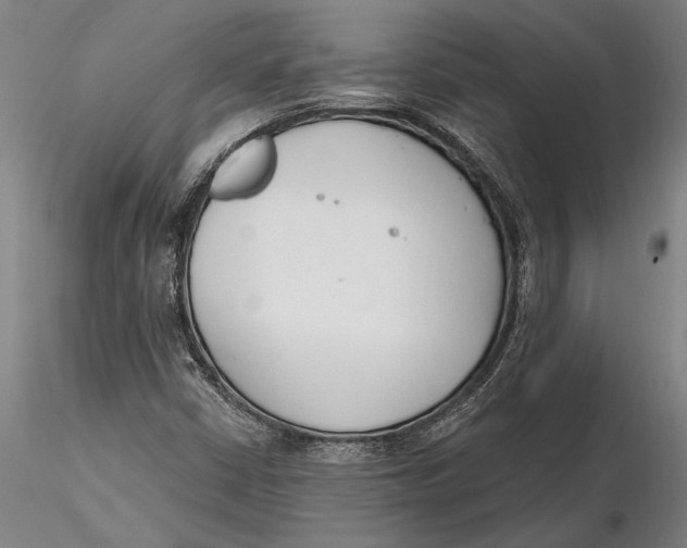 X0000116151402200912141146