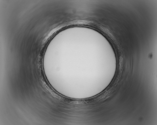 X0000116151404200912141146