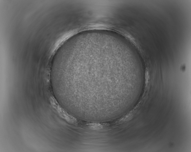 X0000116151405200912141146