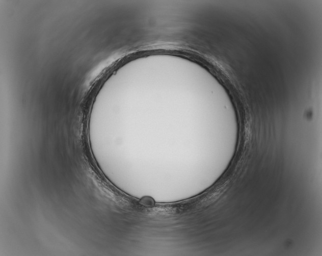 X0000116151406200912141146