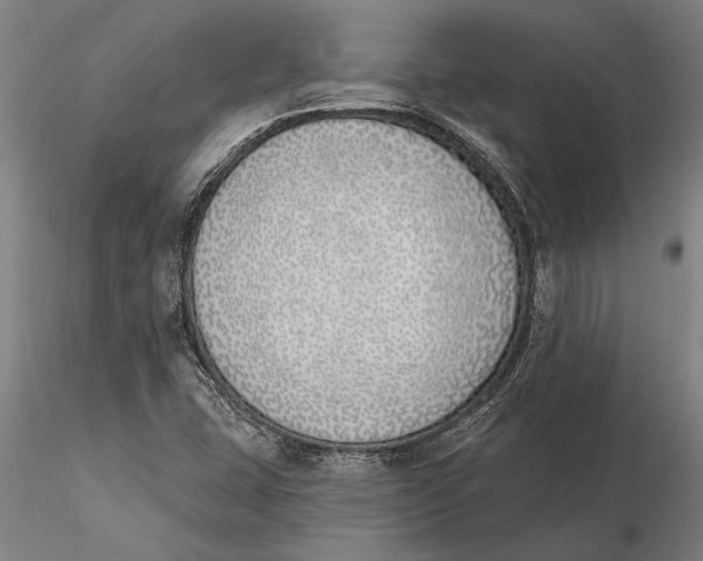 X0000116151407200912141146