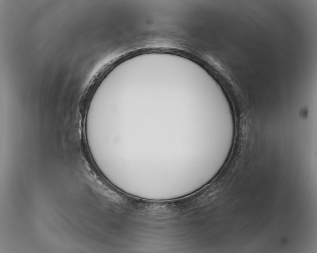 X0000116151408200912141146