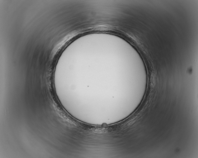 X0000116151410200912141146