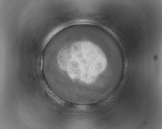 X0000116151413200912141146