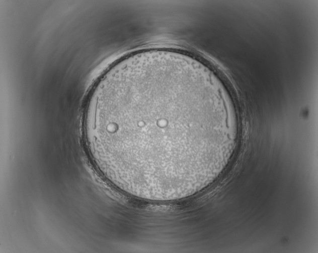 X0000116151415200912141146