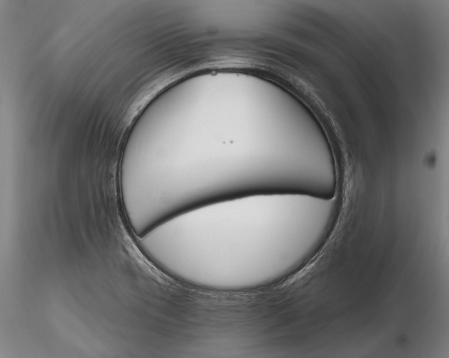 X0000116151417200912141146