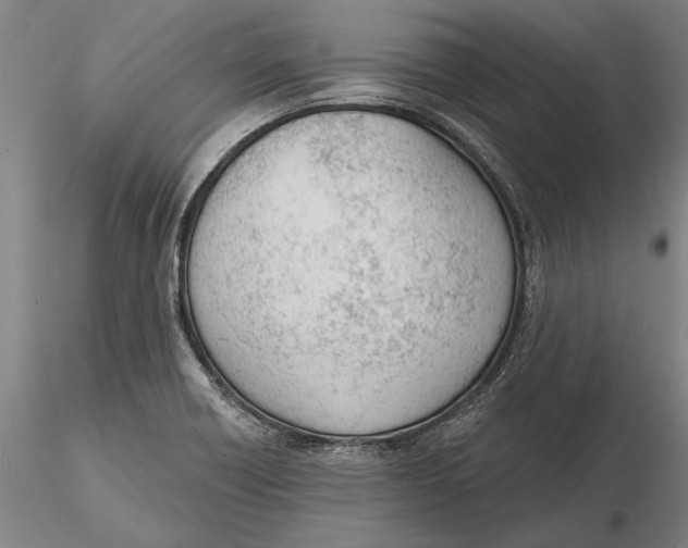 X0000116151418200912141146