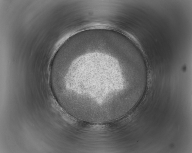 X0000116151419200912141146