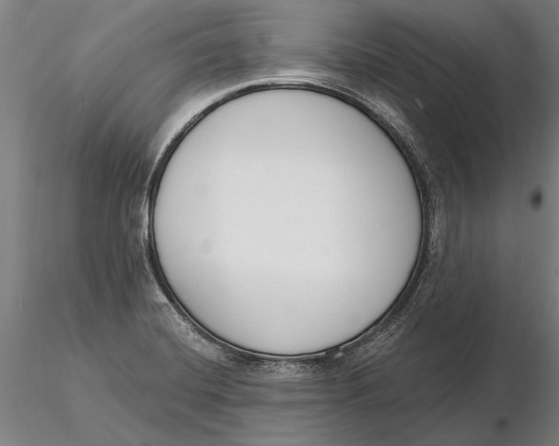 X0000116151420200912141146