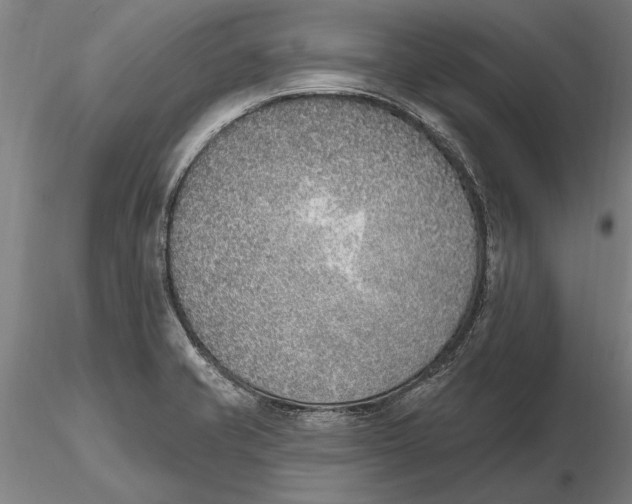 X0000116151421200912141146