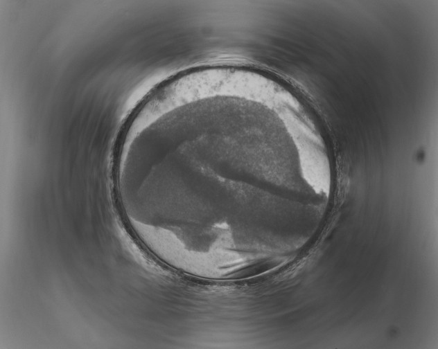 X0000116151422200912141146