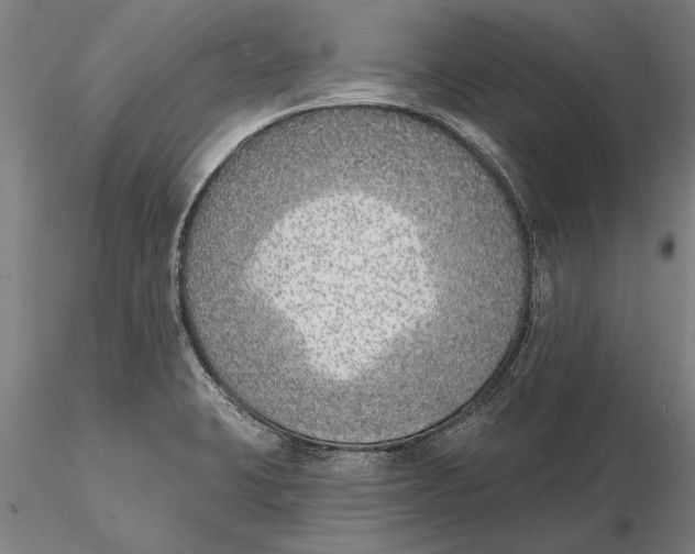 X0000116151423200912141146