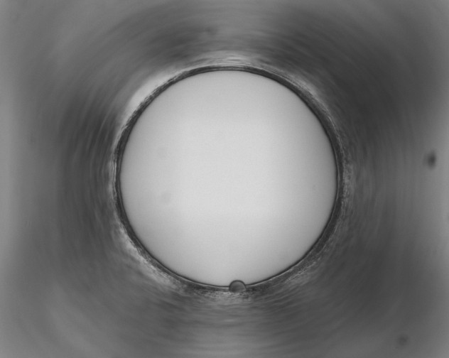 X0000116151424200912141146