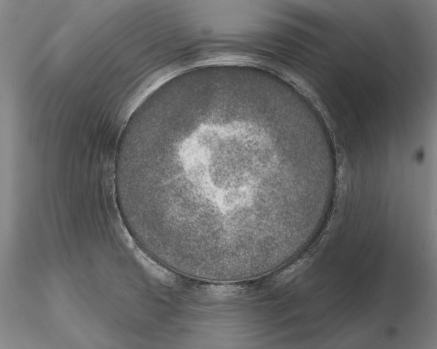 X0000116151425200912141146