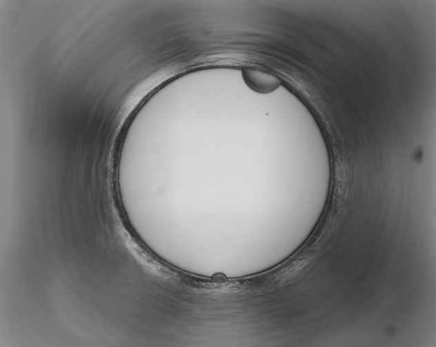 X0000116151426200912141146