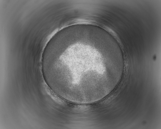 X0000116151427200912141146