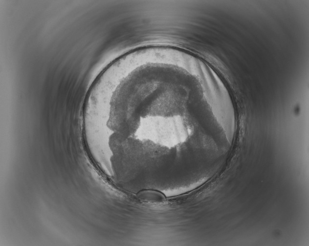 X0000116151428200912141146