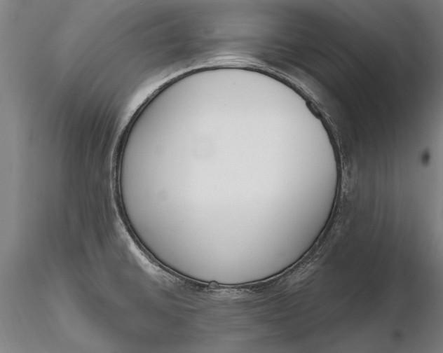 X0000116151430200912141146