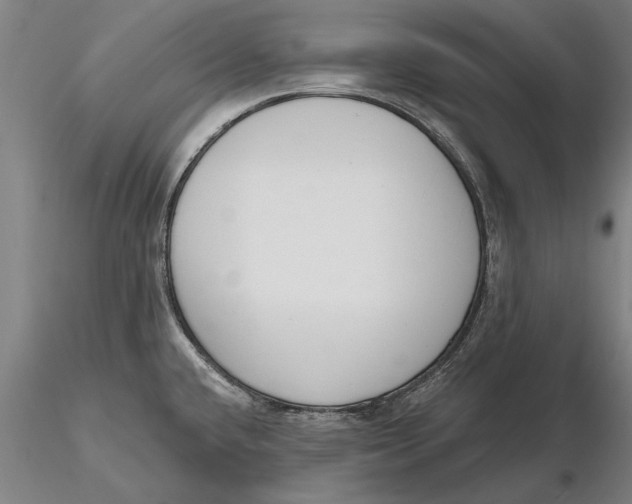 X0000116151432200912141146