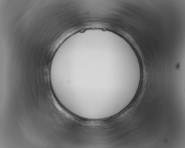 X0000116151433200912141146