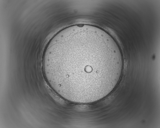 X0000116151435200912141147