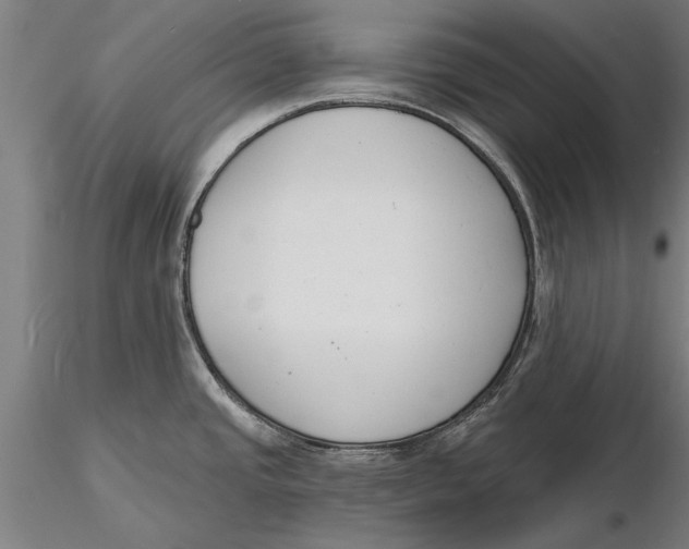 X0000116151437200912141147