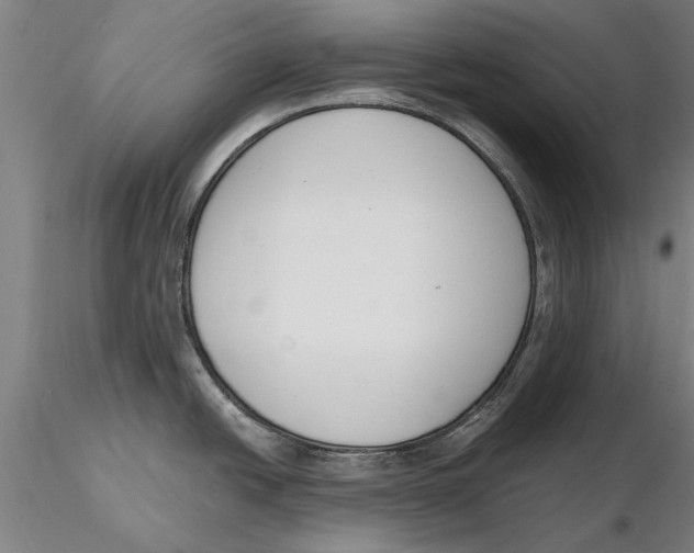 X0000116151438200912141147