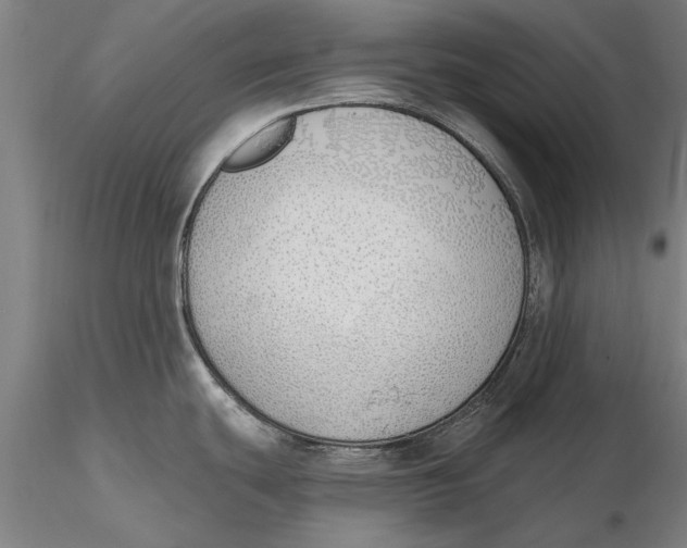 X0000116151439200912141147