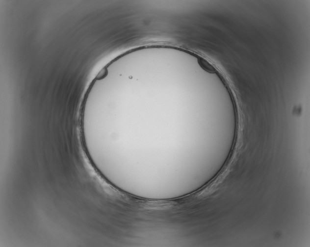 X0000116151440200912141147