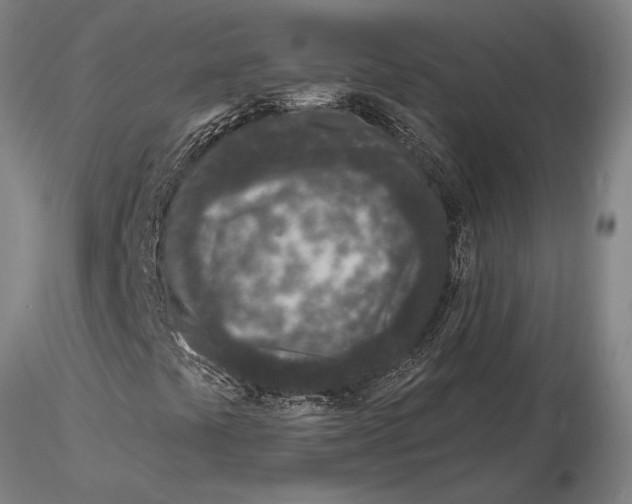 X0000116151441200912141146