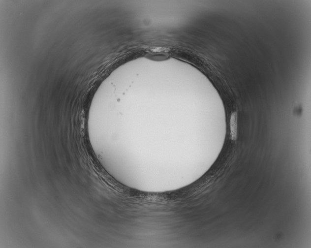 X0000116151443200912141146